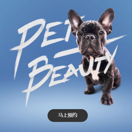 北碚宠物中心小程序开发