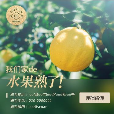 北碚果园果林小程序开发